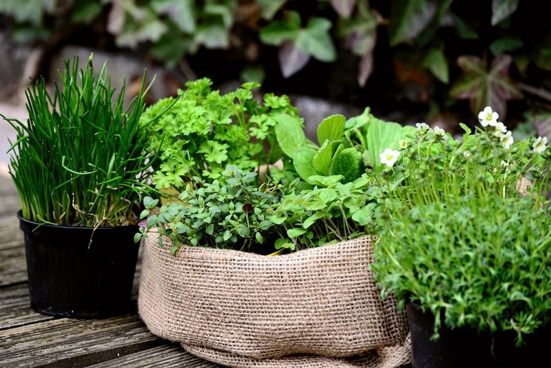 Herb Garden Creations